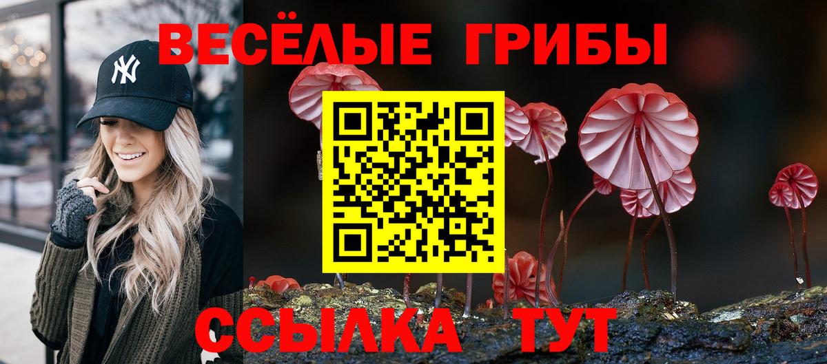 Псилоцибиновые грибы Magic Shrooms  Галлюциногенные грибы Cubensis  Иваново  Вход с VPN 